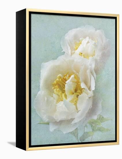 Aqua Floral III-Amy Melious-Framed Stretched Canvas