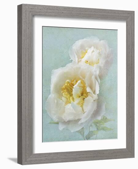 Aqua Floral III-Amy Melious-Framed Art Print