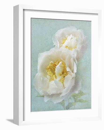 Aqua Floral III-Amy Melious-Framed Art Print