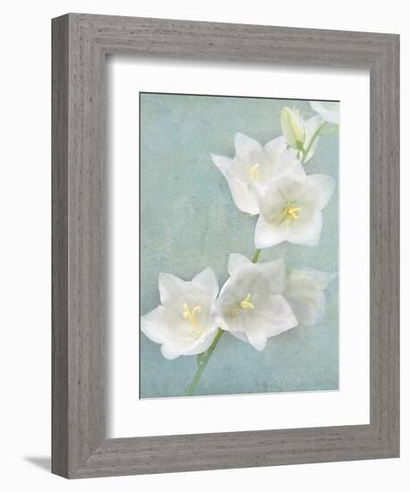 Aqua Floral IV-Amy Melious-Framed Art Print