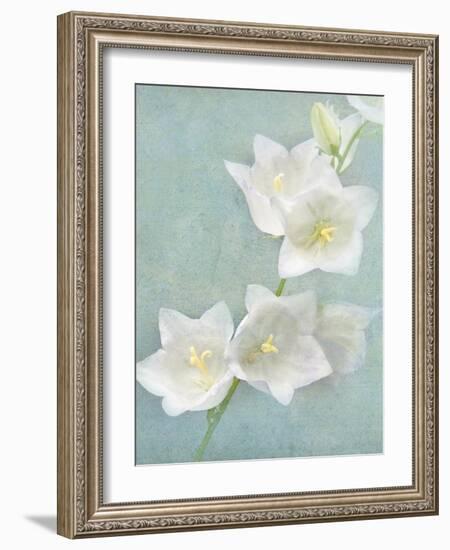 Aqua Floral IV-Amy Melious-Framed Art Print