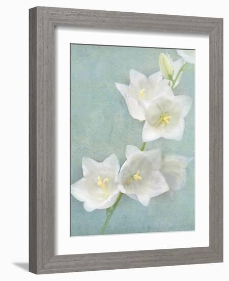 Aqua Floral IV-Amy Melious-Framed Art Print