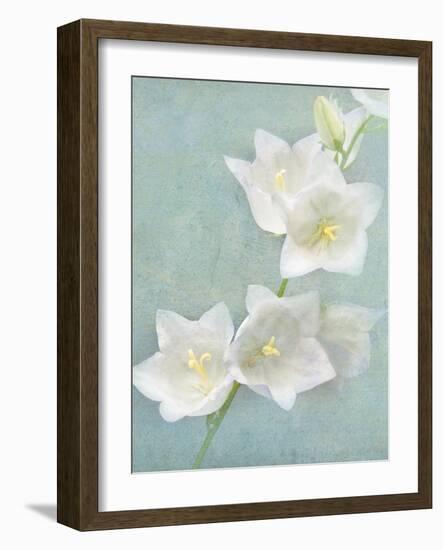 Aqua Floral IV-Amy Melious-Framed Art Print