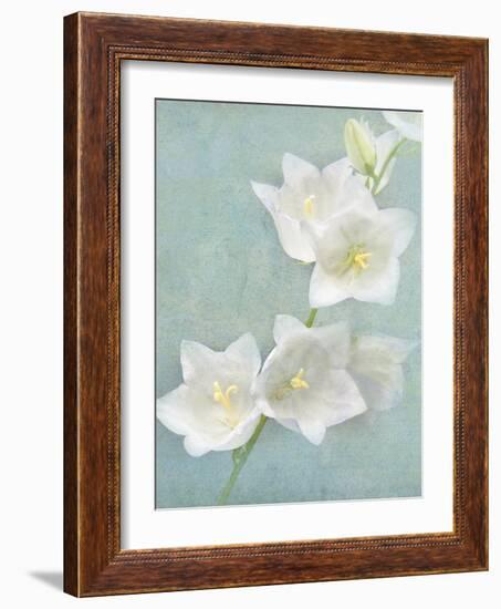 Aqua Floral IV-Amy Melious-Framed Art Print