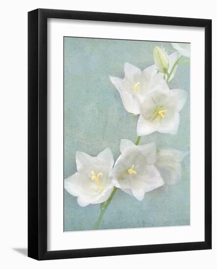 Aqua Floral IV-Amy Melious-Framed Art Print