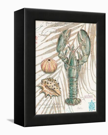 Aqua Lobster-Chad Barrett-Framed Stretched Canvas