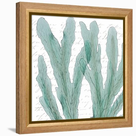 Aqua Marine IV-Anna Hambly-Framed Stretched Canvas