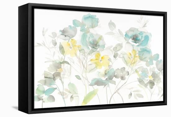 Aqua Roses Shadows-Danhui Nai-Framed Stretched Canvas