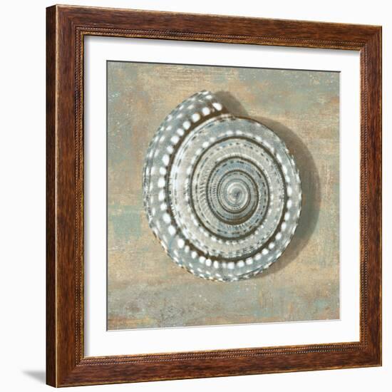 Aqua Seashell-Caroline Kelly-Framed Art Print