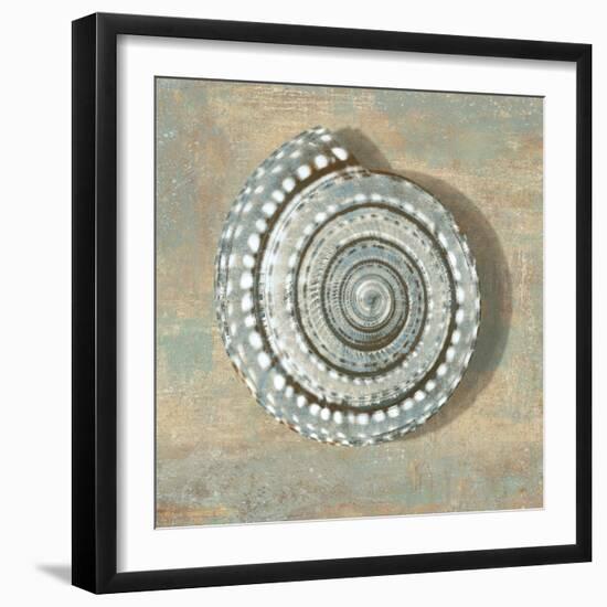 Aqua Seashell-Caroline Kelly-Framed Art Print