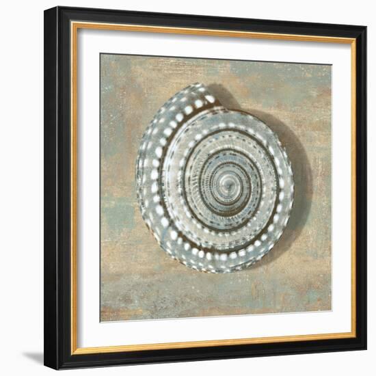 Aqua Seashell-Caroline Kelly-Framed Art Print