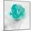 Aqua Sorbet I-J^P^ Prior-Mounted Art Print