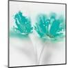 Aqua Sorbet II-J^P^ Prior-Mounted Giclee Print