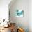 Aqua Trio I-Vanessa Austin-Mounted Art Print displayed on a wall