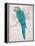 Aqua Tropical-Chad Barrett-Framed Stretched Canvas