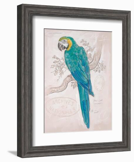 Aqua Tropical-Chad Barrett-Framed Art Print