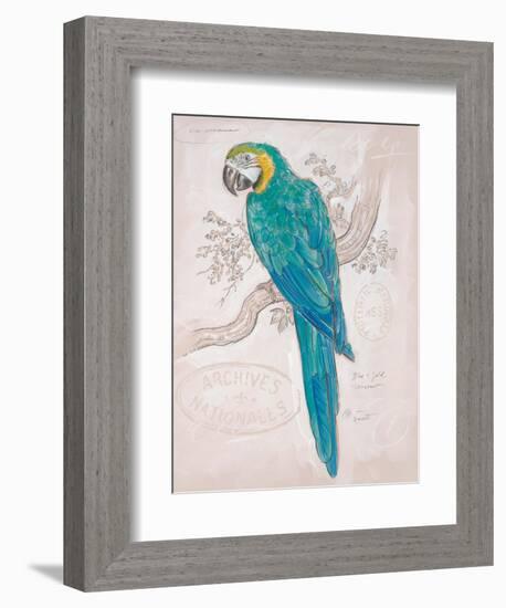 Aqua Tropical-Chad Barrett-Framed Art Print