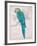 Aqua Tropical-Chad Barrett-Framed Art Print