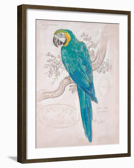 Aqua Tropical-Chad Barrett-Framed Art Print