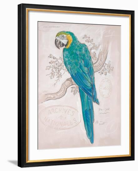 Aqua Tropical-Chad Barrett-Framed Art Print