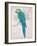 Aqua Tropical-Chad Barrett-Framed Art Print