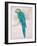 Aqua Tropical-Chad Barrett-Framed Art Print