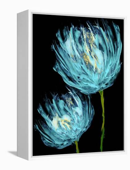 Aqua Tulips II-Vanessa Austin-Framed Stretched Canvas