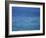 Aqua Waters III-Nicole Katano-Framed Photo