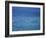 Aqua Waters III-Nicole Katano-Framed Photo