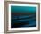 Aqua-Josh Adamski-Framed Photographic Print