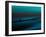 Aqua-Josh Adamski-Framed Photographic Print