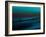 Aqua-Josh Adamski-Framed Photographic Print