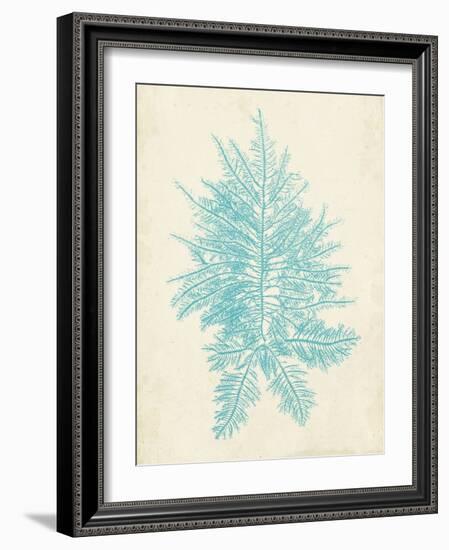 Aquamarine Seaweed III-Vision Studio-Framed Art Print