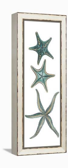 Aquamarine Starfish I-Vision Studio-Framed Stretched Canvas