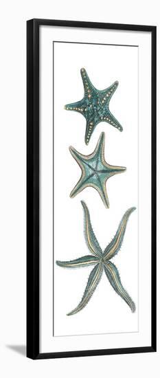 Aquamarine Starfish I-Vision Studio-Framed Art Print