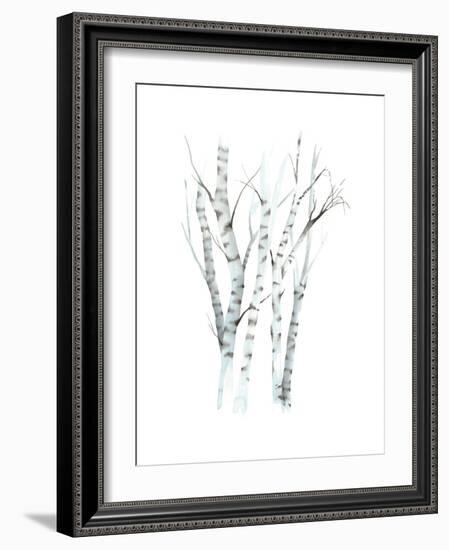 Aquarelle Birches II-Grace Popp-Framed Art Print