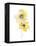 Aquarelle Blooms - Duet-Sandra Jacobs-Framed Stretched Canvas