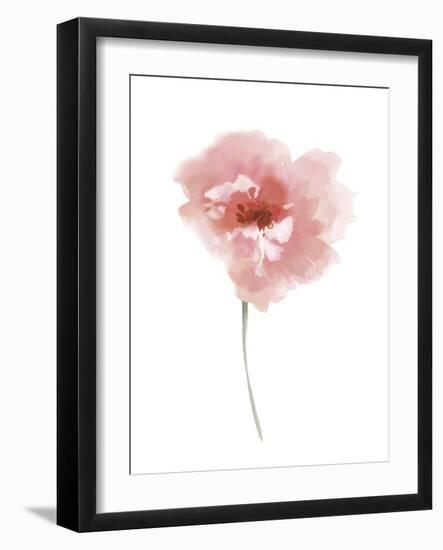 Aquarelle Blooms - Joy-Sandra Jacobs-Framed Giclee Print