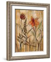 Aquarelle Garden II-Silvia Vassileva-Framed Premium Giclee Print