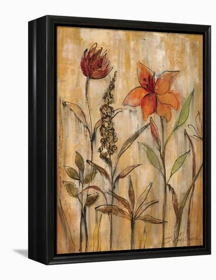 Aquarelle Garden II-Silvia Vassileva-Framed Stretched Canvas