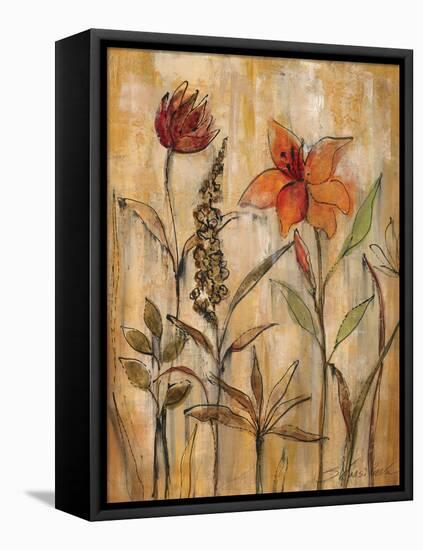 Aquarelle Garden II-Silvia Vassileva-Framed Stretched Canvas