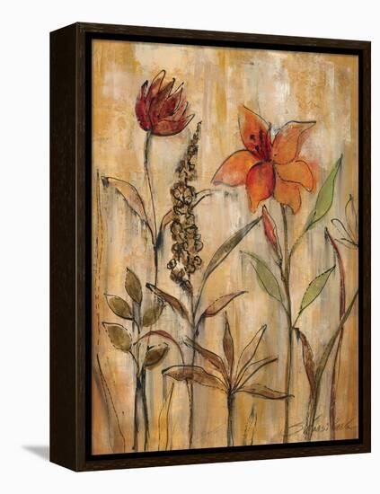 Aquarelle Garden II-Silvia Vassileva-Framed Stretched Canvas