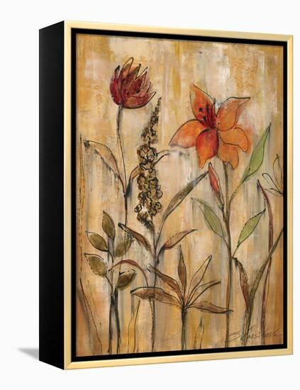 Aquarelle Garden II-Silvia Vassileva-Framed Stretched Canvas