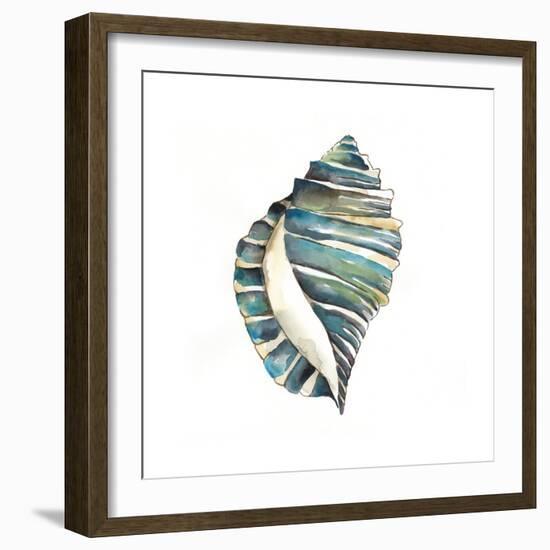 Aquarelle Shells I-Chariklia Zarris-Framed Premium Giclee Print