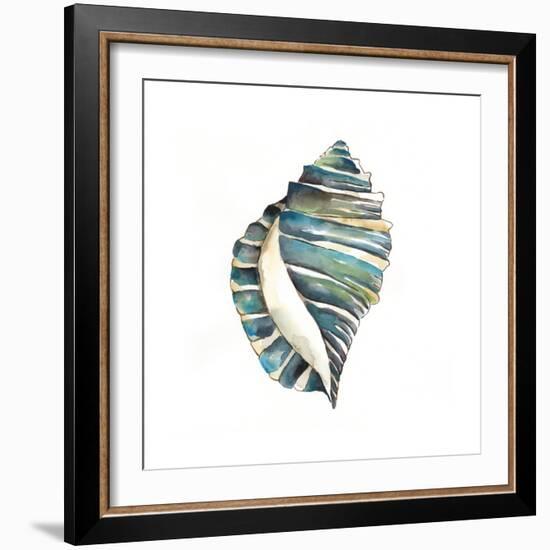 Aquarelle Shells I-Chariklia Zarris-Framed Premium Giclee Print