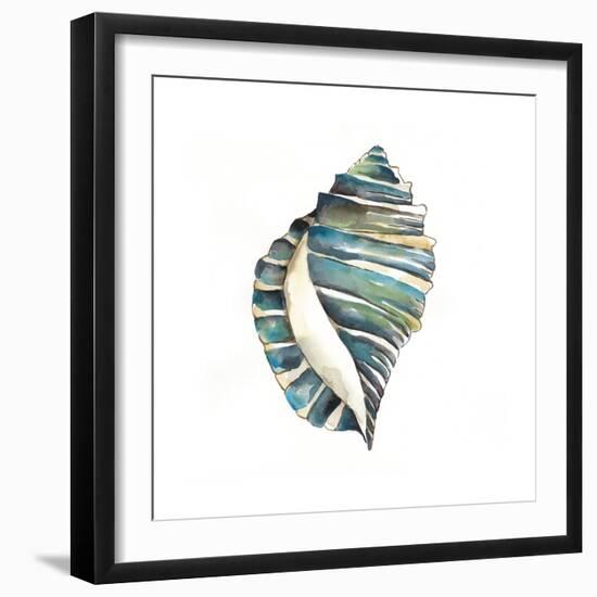 Aquarelle Shells I-Chariklia Zarris-Framed Premium Giclee Print