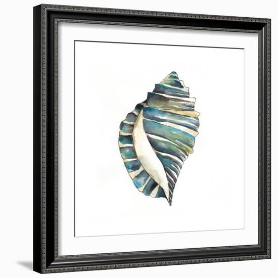 Aquarelle Shells I-Chariklia Zarris-Framed Premium Giclee Print