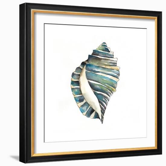 Aquarelle Shells I-Chariklia Zarris-Framed Premium Giclee Print