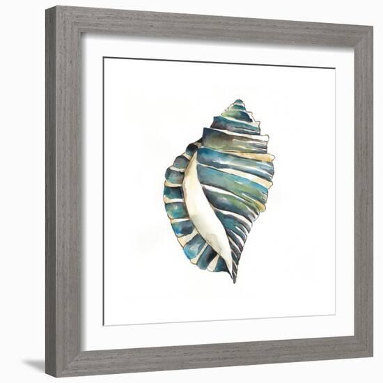 Aquarelle Shells I-Chariklia Zarris-Framed Art Print