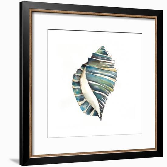 Aquarelle Shells I-Chariklia Zarris-Framed Art Print